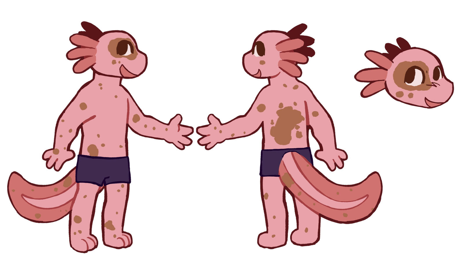 Axolotl turnaround
