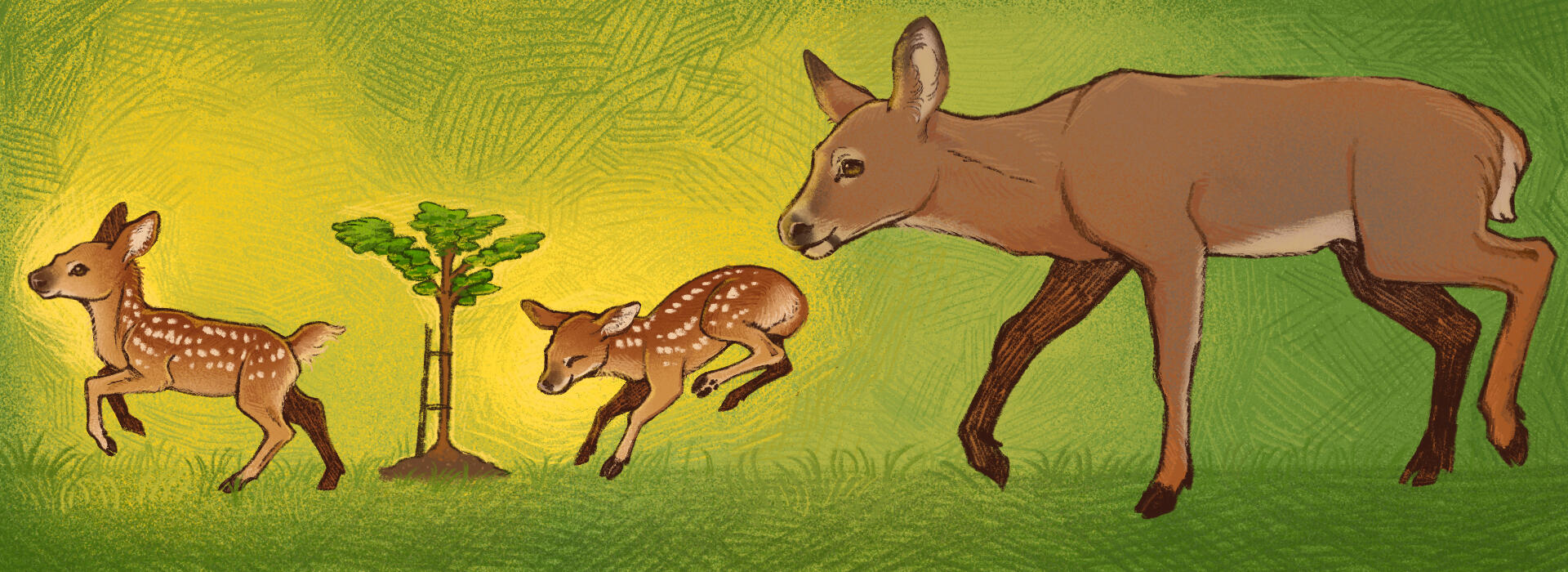 Illustration for Reasons to be Cheerful, 2025