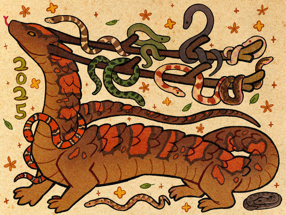 Year of the snake, 2025