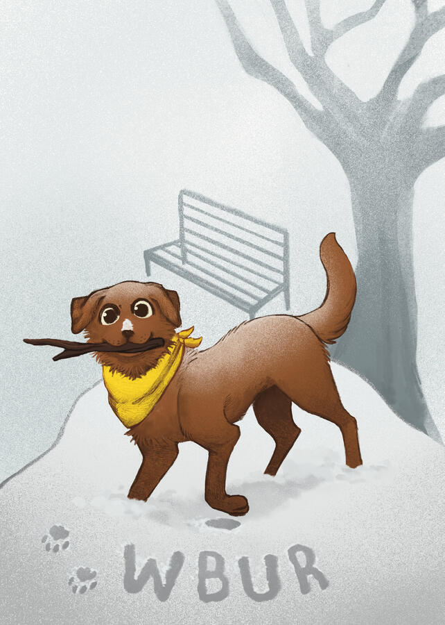 Card Illustration for WBUR, 2025